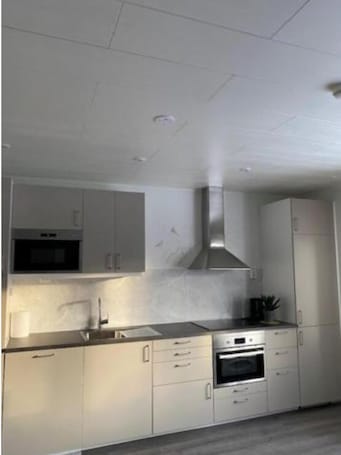 Apartment | Private kitchen | Full-size fridge, microwave, oven, stovetop