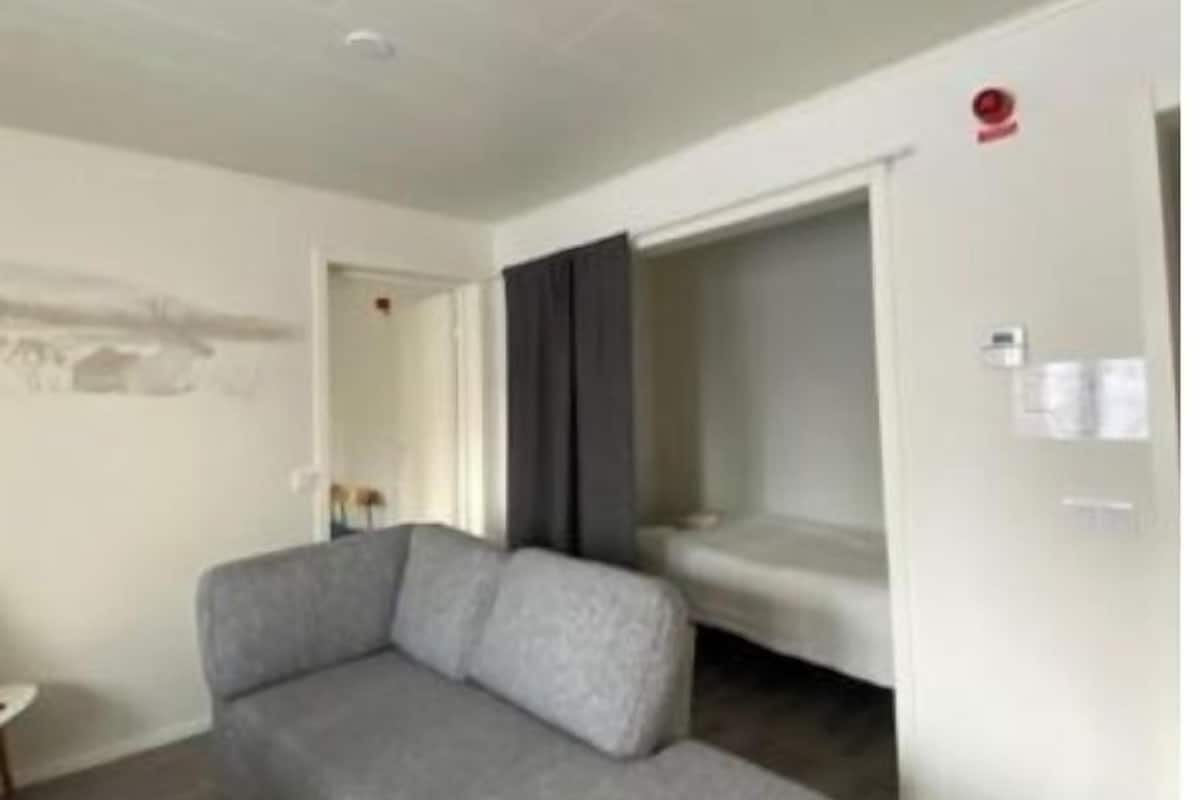 Una habitación con un sofá gris, una cama y una pequeña mesa.