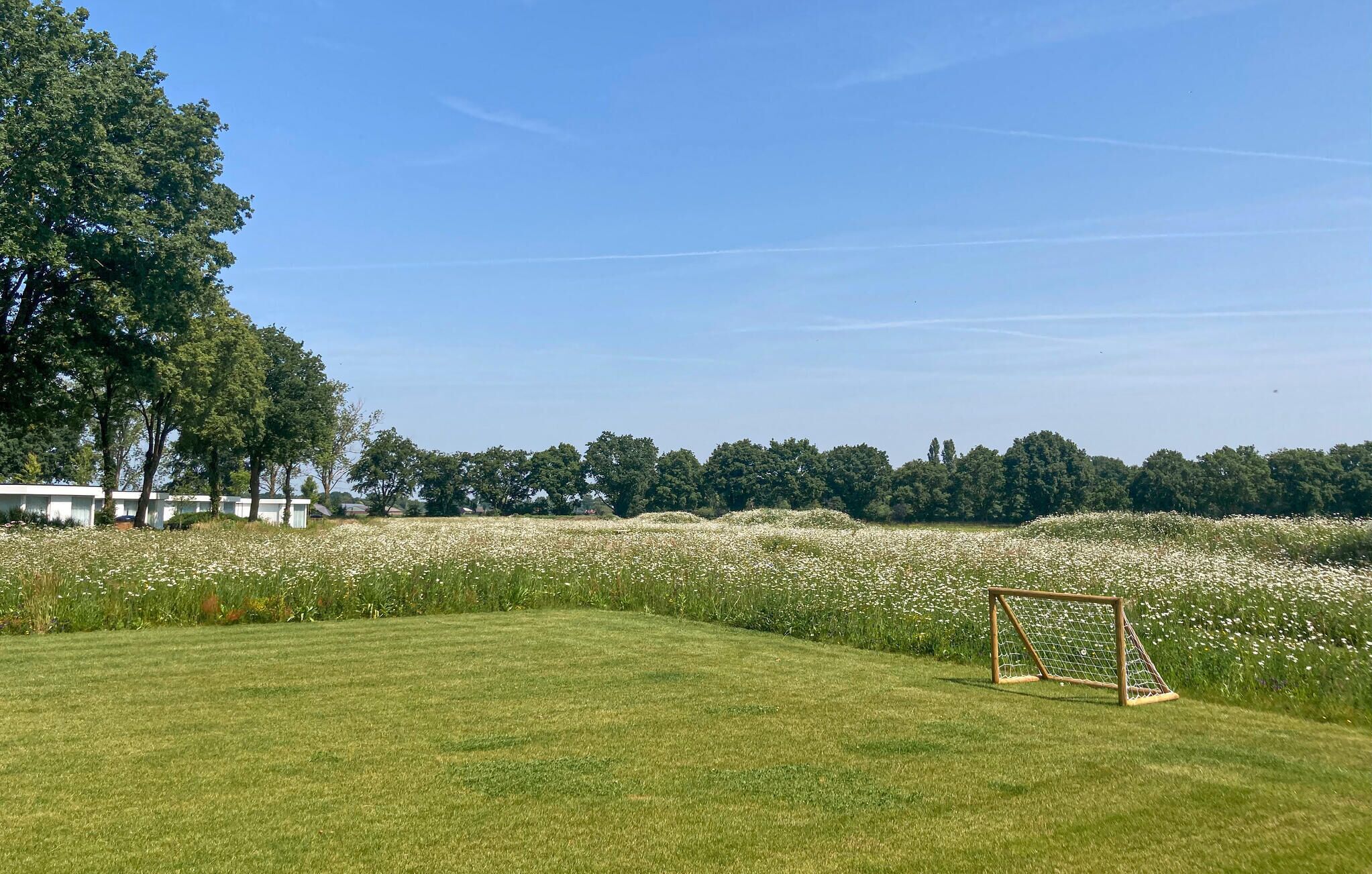 Eine Wiese mit einem Fußballtor, Bäumen und blauem Himmel.