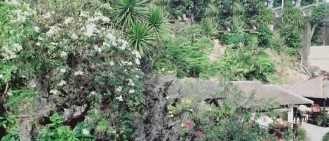 Overnatningsstedets område