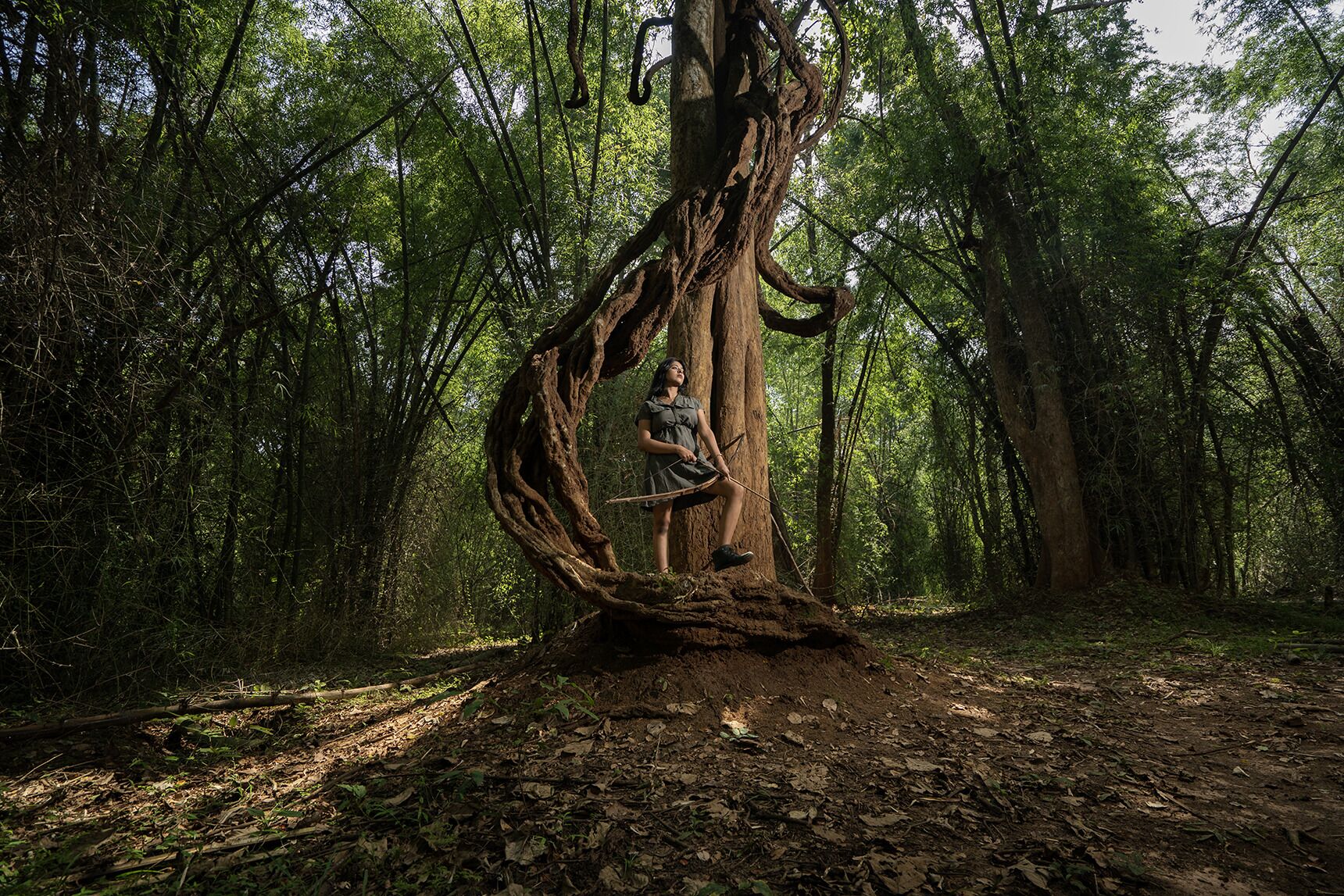 A forest scene with a large, twisted tree trunk and a person standing on it.