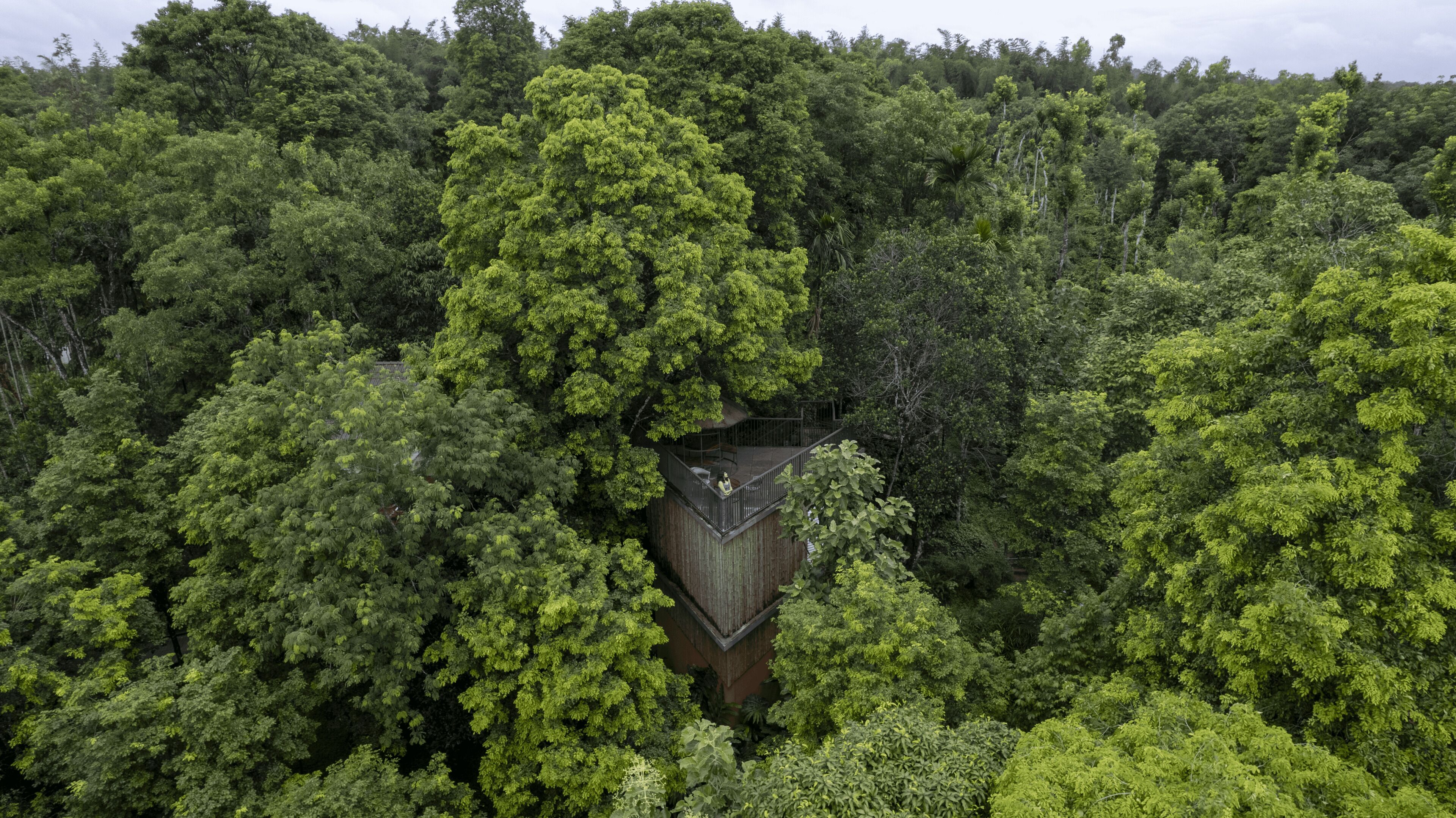 Un área boscosa con una estructura de madera que tiene un balcón.