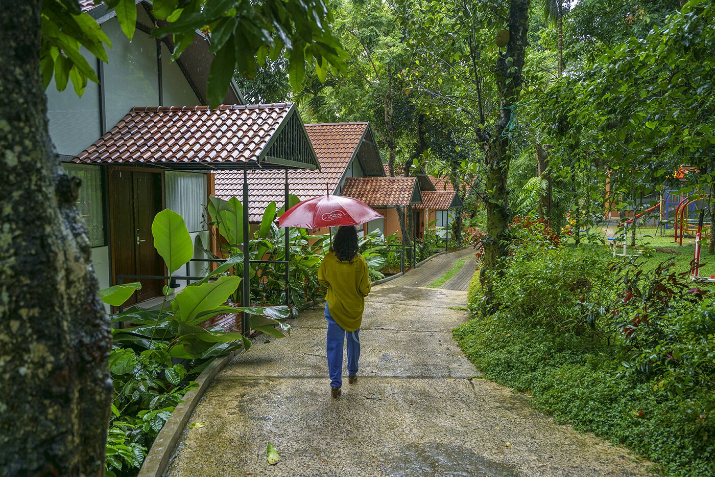 A pathway leading to a row of houses with tiled roofs, surrounded by lush greenery and a person holding an umbrella.