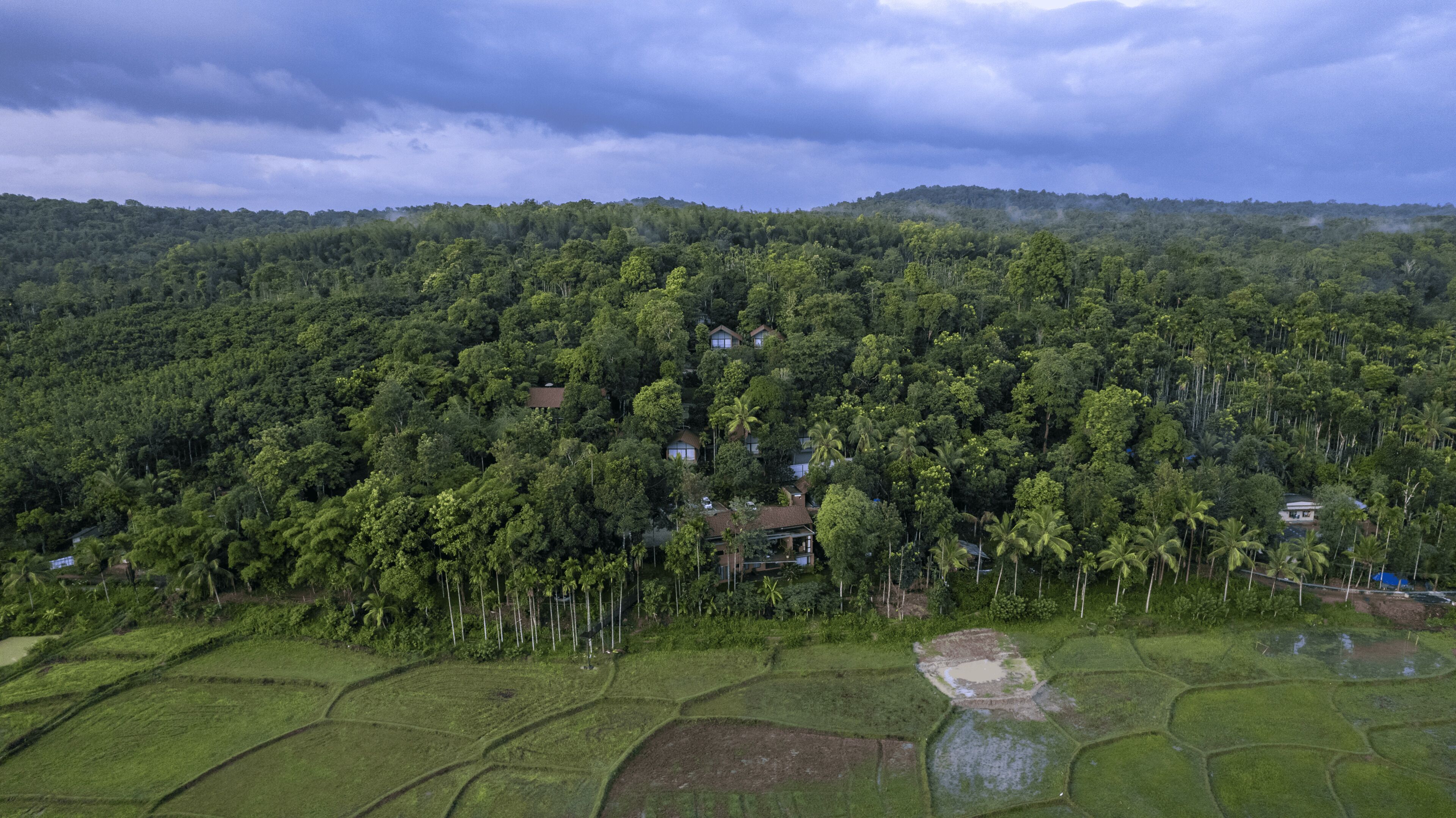 A lush, green landscape with terraced fields and a dense forest in the background.