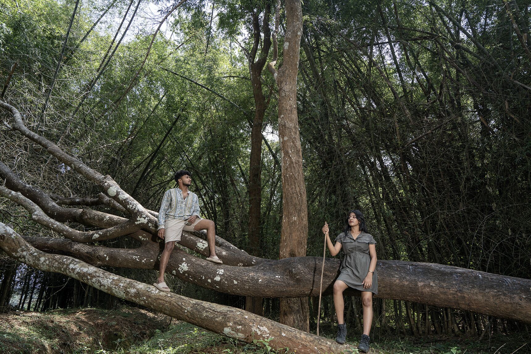 Two individuals sitting on a fallen tree branch in a forested area.