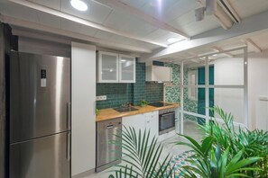 Fridge, microwave, oven, stovetop - Historic Charm & Stunning Views in Central Ourense (Ourense)