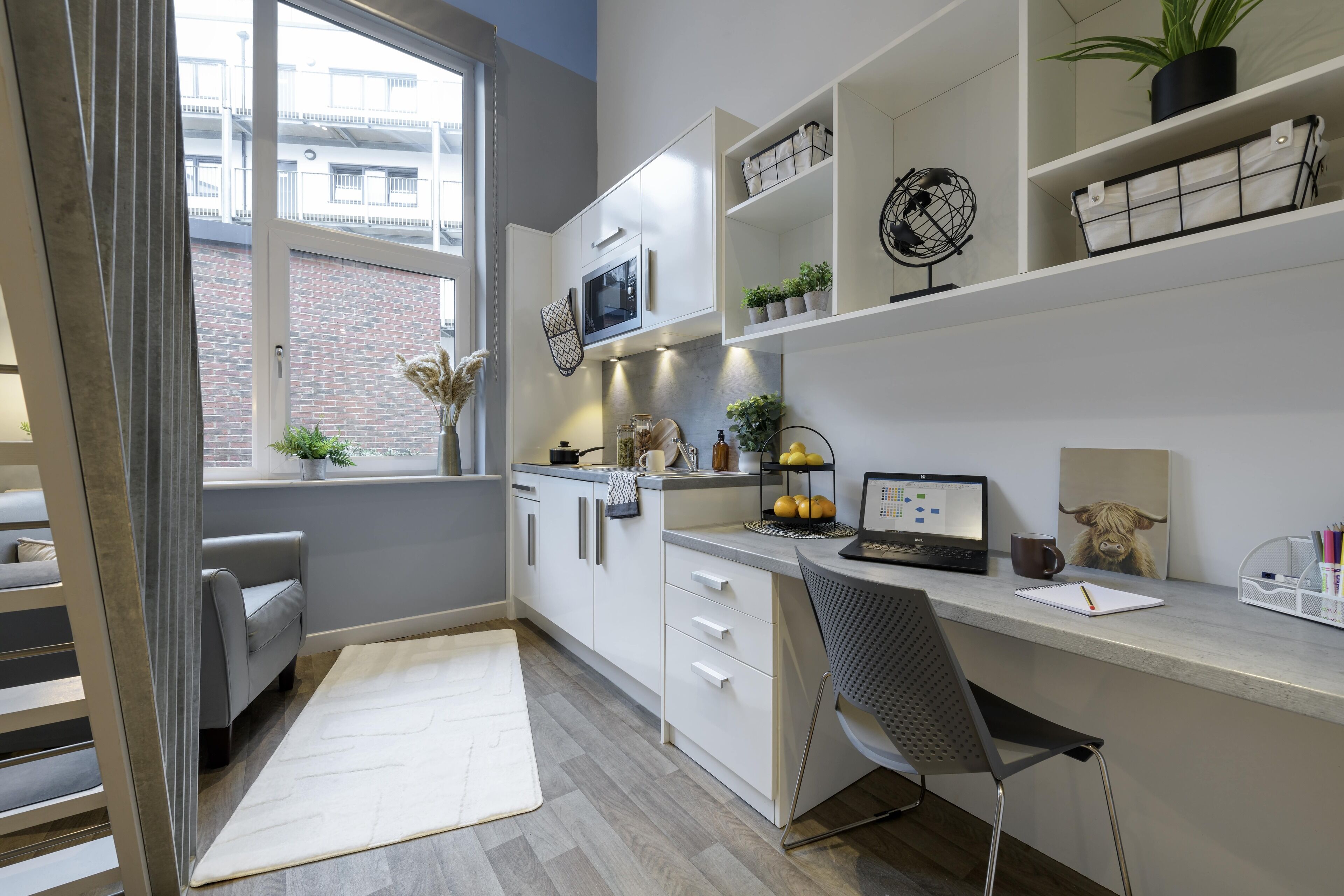 Estudio, para no fumadores | Cocina privada