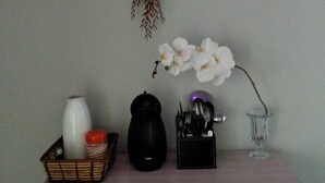 A wooden cabinet with a white vase, a black container, a glass vase with a white orchid, and a hanging plant. - Man's Place Hostel Masculino (Porto Alegre)