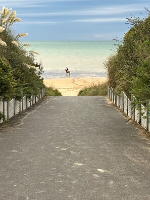 Plage