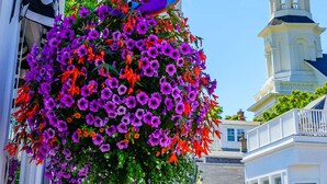 A building with a bell tower, a hanging flower basket, and a rainbow flag. - Oceanfront Getaway with Deck, Steps to Provincetown Fun (Provincetown)