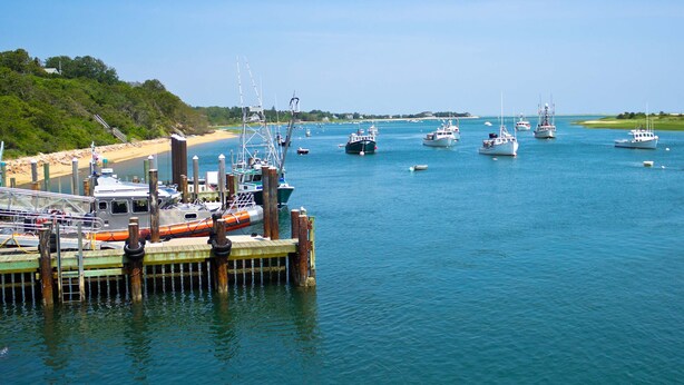 A marina with multiple boats docked at wooden piers. - Walk to Water, near Downtown Chatham! (Chatham)