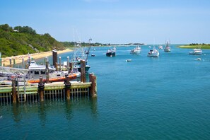 A marina with multiple boats docked at wooden piers. - Walk to Water, near Downtown Chatham! (Chatham)