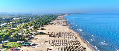 Playa
