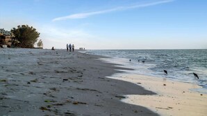 Une plage où l’on voit des gens se promener le long du rivage et des oiseaux près de l’eau.