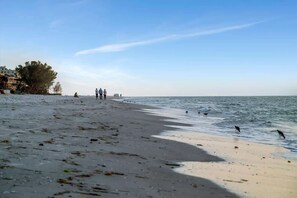 A beach with people walking along the shore and birds near the water.