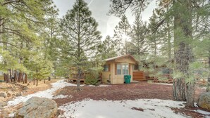 A cabin surrounded by tall pine trees, with a snow-covered ground and a wooden deck.