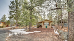 A cabin with a wooden exterior, surrounded by tall pine trees and a gravel driveway.