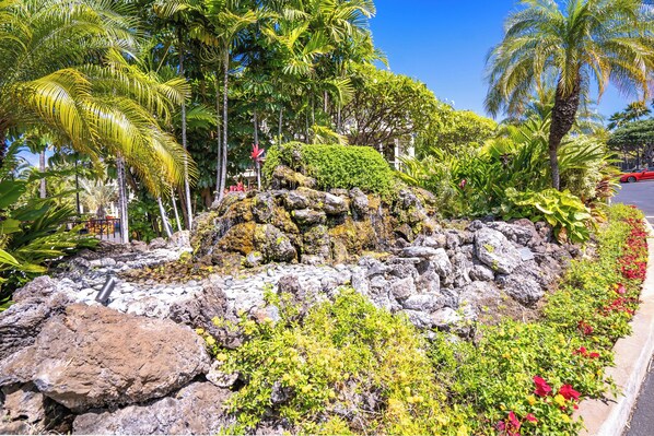 A landscaped garden with tropical plants, rocks, and a palm tree.