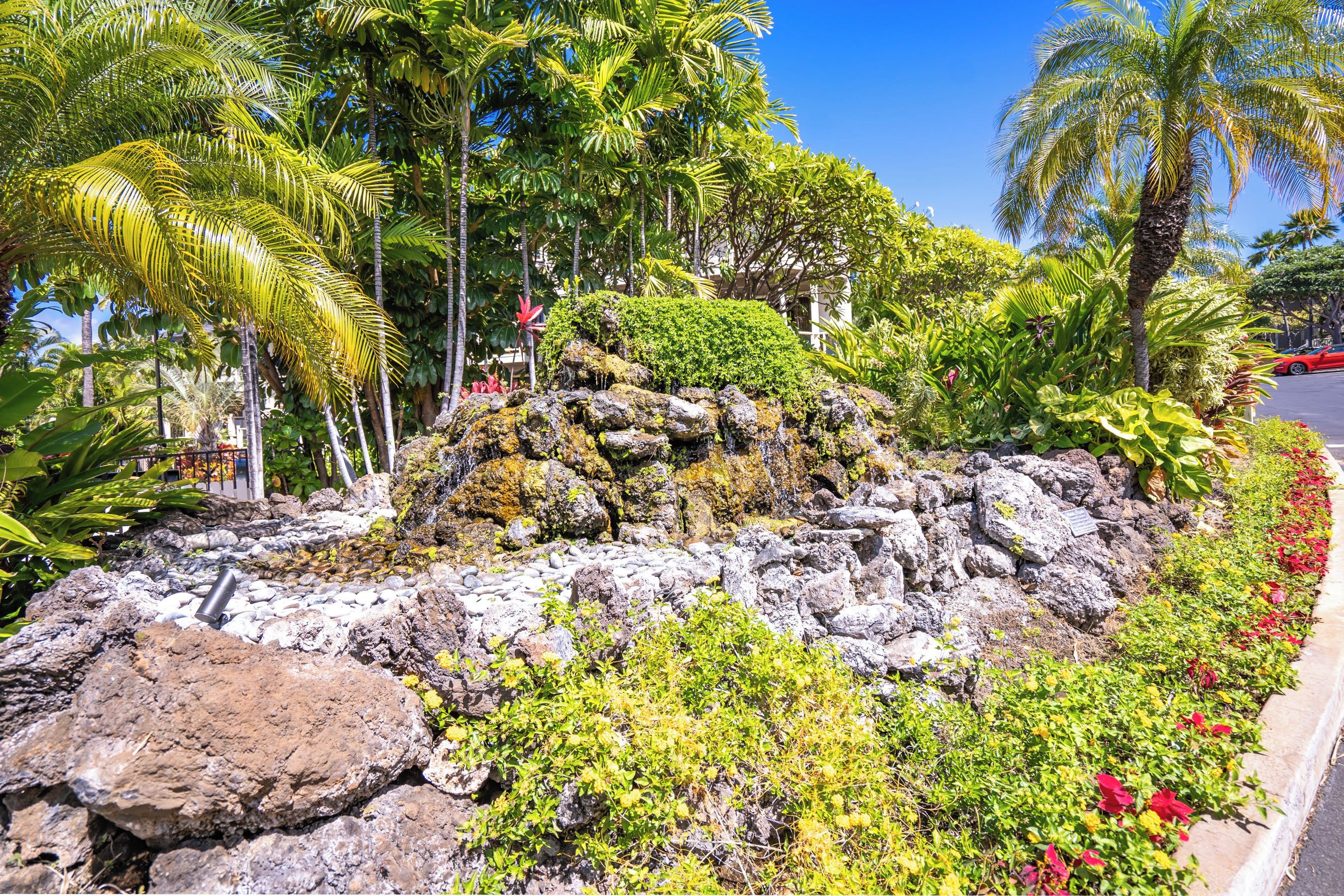 A landscaped garden with tropical plants, rocks, and a palm tree.