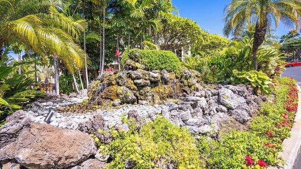 A landscaped garden with tropical plants, rocks, and a palm tree. - Grand Champions #147 Golf Course Views Full Kitchen AC In Bedrooms (Kihei)