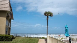 A pathway leading to a beach with a palm tree and a blue umbrella. - Beachfront Escape with Pool +Ocean & coastal Views (Saint Augustine)