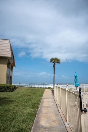 A pathway leading to a beach with a palm tree and a blue umbrella.