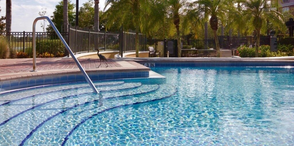 A swimming pool with a metal ladder, surrounded by a fence and palm trees.