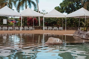 A pool area with white canopies, lounge chairs, and a rock with a number marker. - Kauai Kiahuna Plantation #425 1 Bedroom Condo (Koloa)