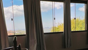 A room with a wooden table, a potted cactus, and a view through large windows with curtains.
