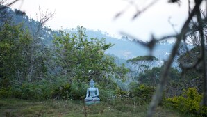 Un cadre extérieur paisible, avec une statue assise entourée d’une végétation luxuriante et de plantes en fleurs.