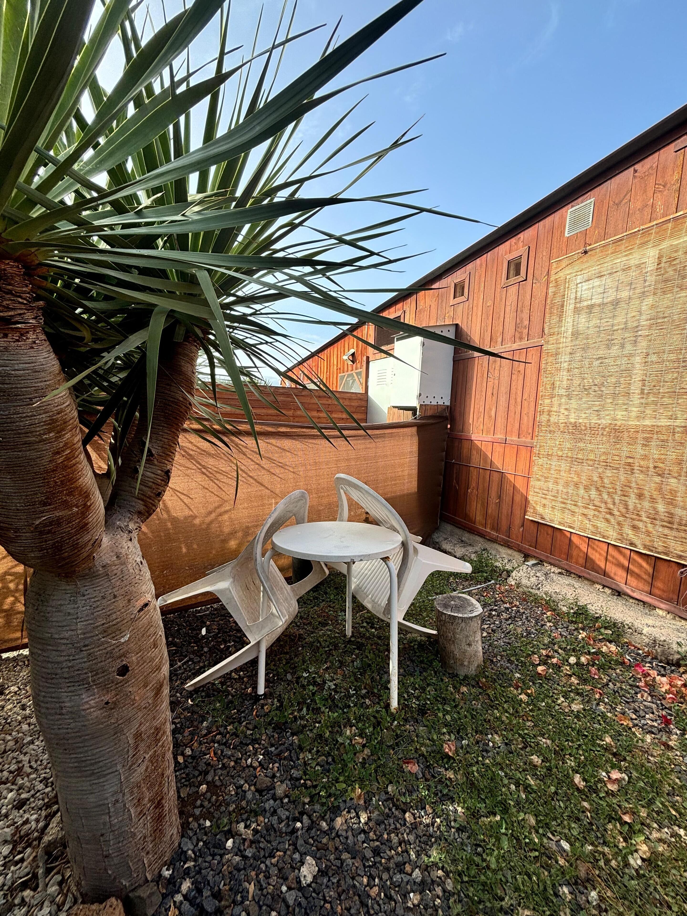 A patio area with a round table and two chairs, surrounded by a small garden with pebbles and a palm tree.