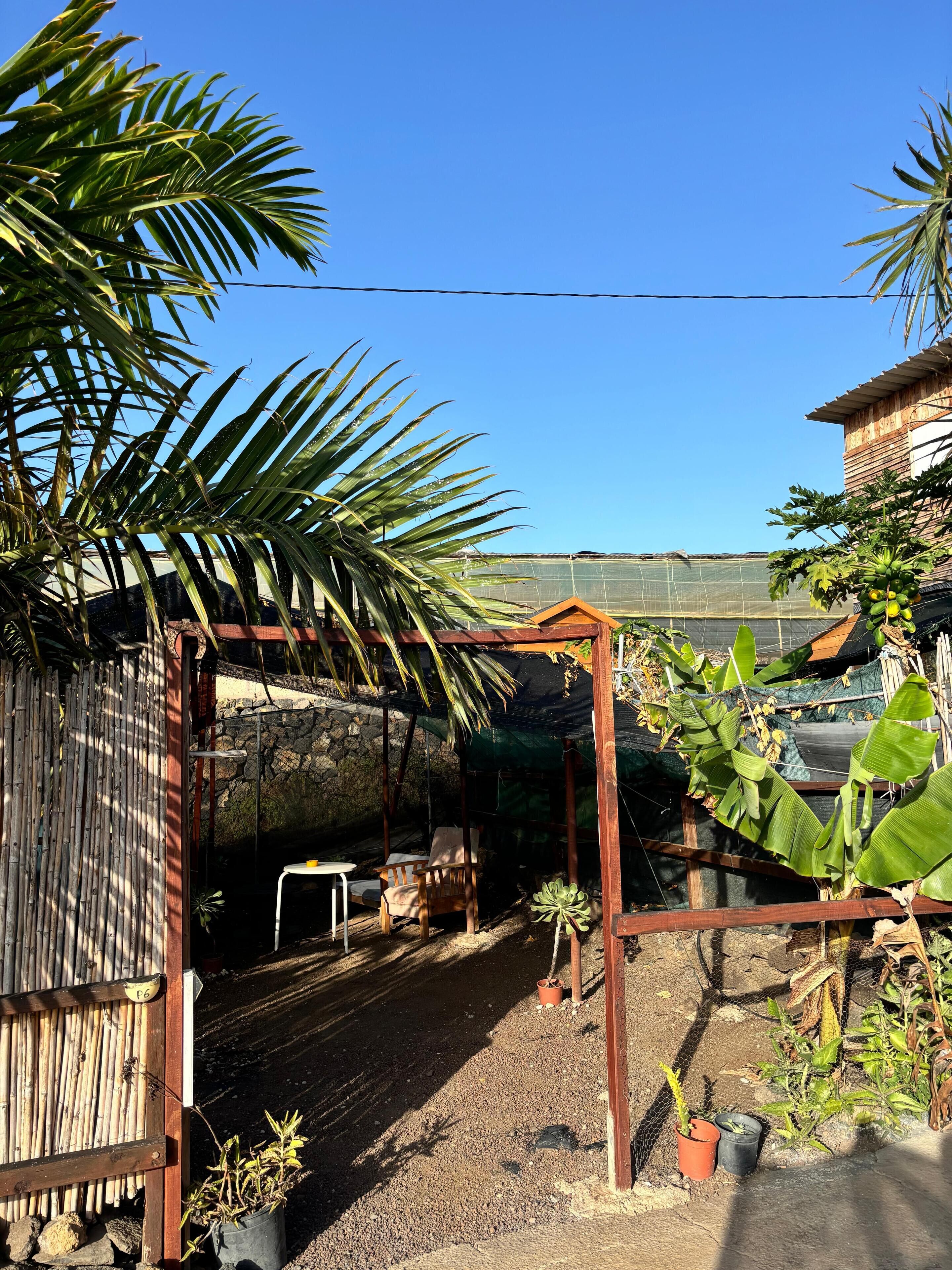 A covered outdoor area with a wooden pergola, a table, chairs, and various potted plants.