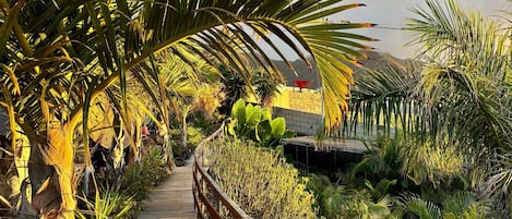 Tent V3 | Terassi/patio