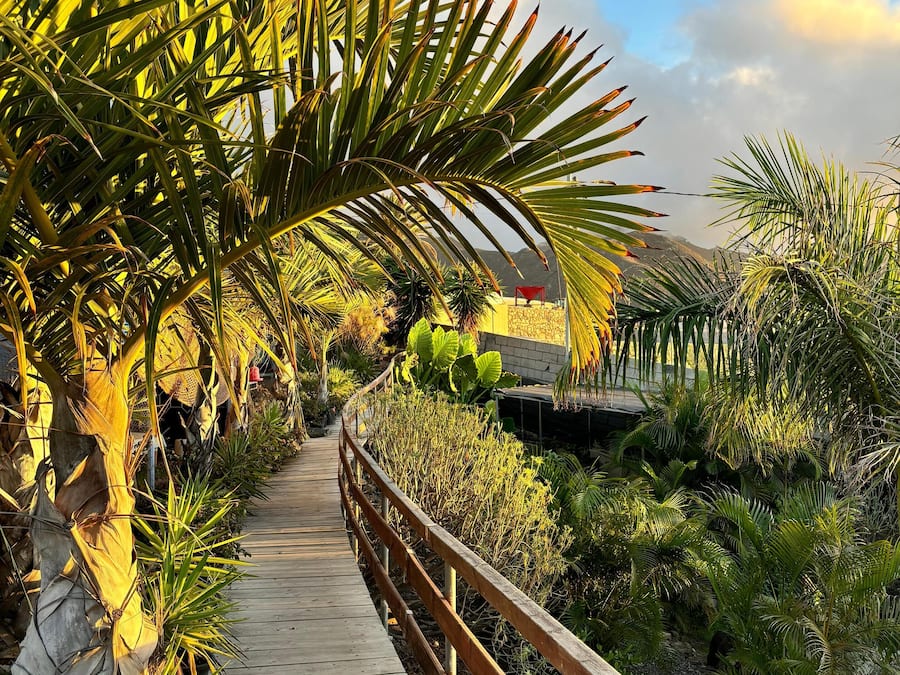 Tent V3 | Terrasse/Patio