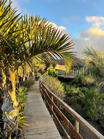 Tent V3 | Terrace/patio