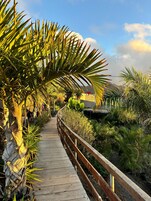 Tent V3 | Terraza o patio