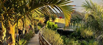 Agrocamping Invernaderito 