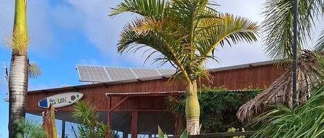 Un espacio exterior tropical con una silla de plástico blanca, plantas verdes grandes y un edificio con fachada de madera al fondo.