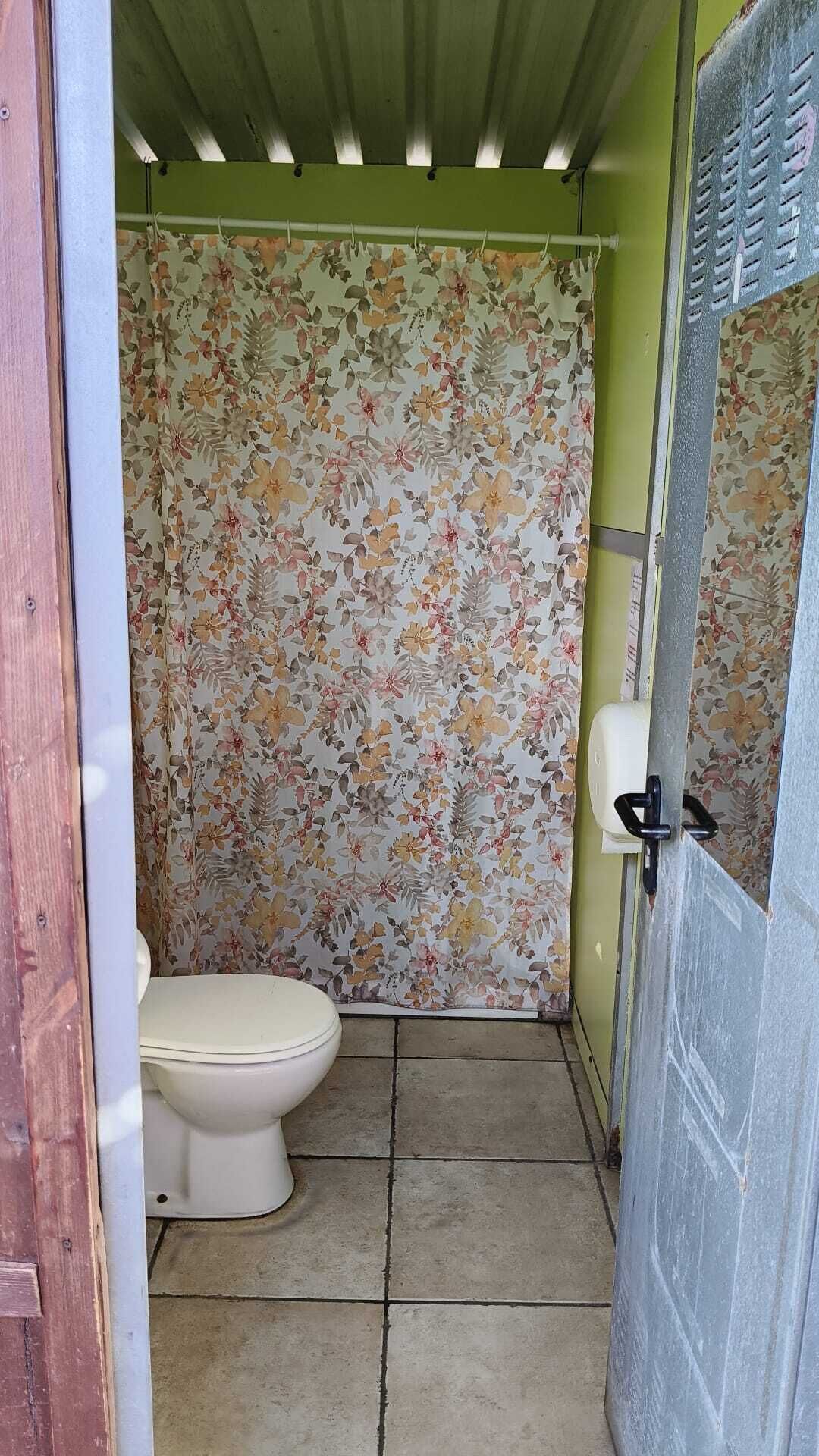 Un bany petit amb un vàter, un teló de bany amb un disseny floral i un paviment de rajoles.