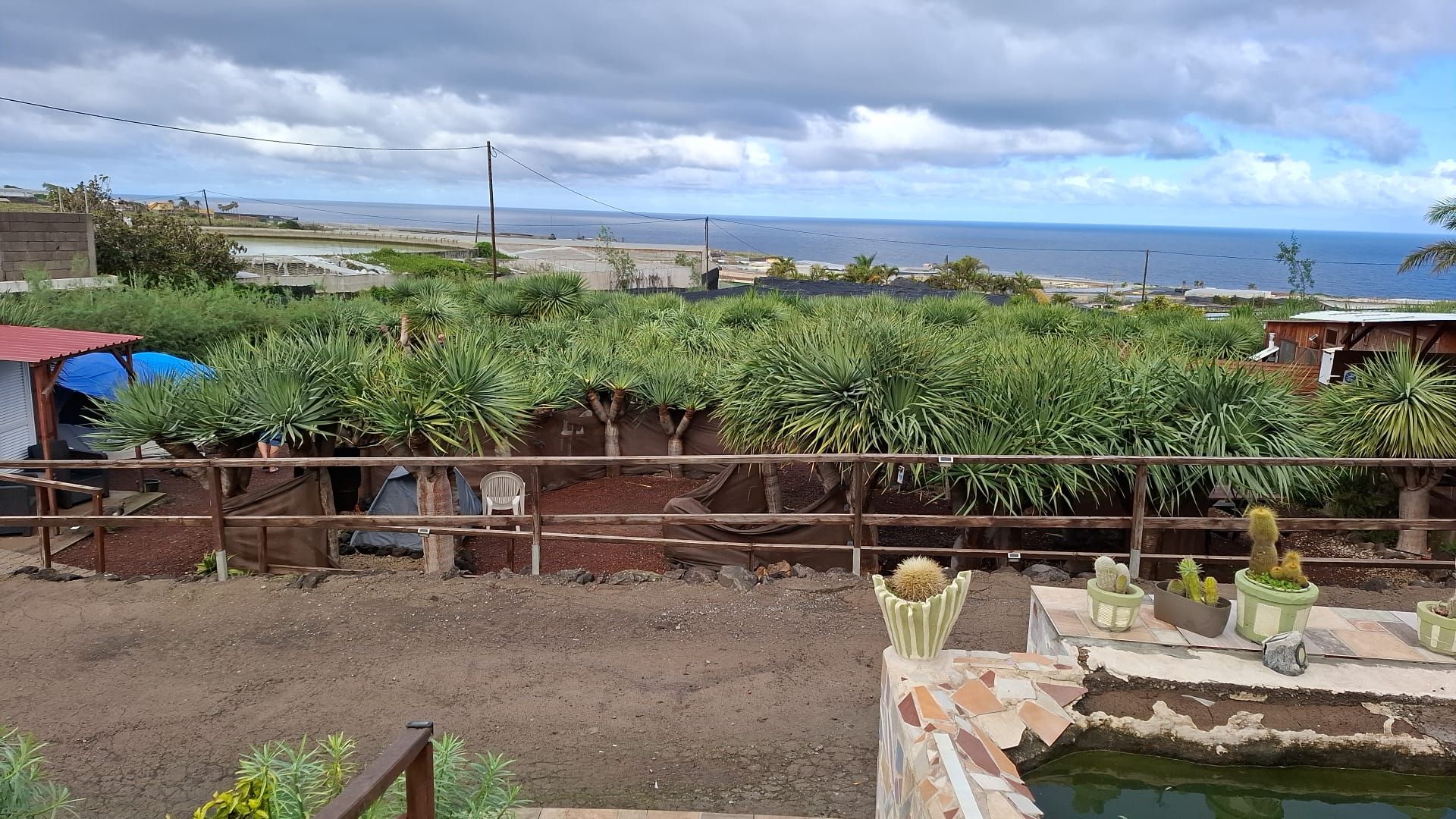 Zona costera con jardín cercado que presenta diversas plantas y un pequeño estanque.