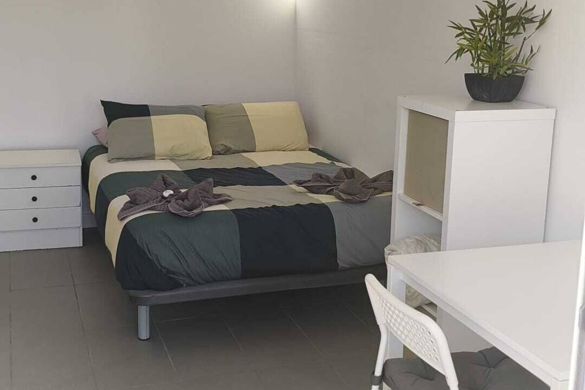 A small, modern bedroom with a bed, a desk, a chair, and a potted plant.