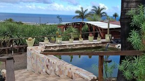 Un jardin sur le toit avec une piscine, des palmiers et une vue sur l’océan.