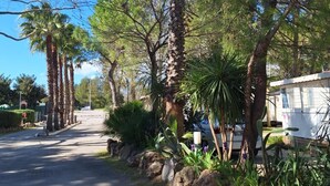 Calle residencial bordeada de altos árboles y una casa móvil blanca.