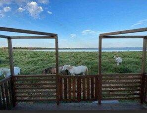 Una construcción de madera con vista a caballos pastando en un campo.
