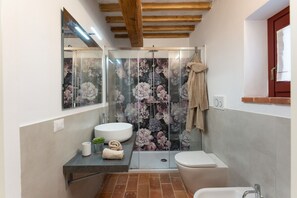 Dusche, Whirlpool, Haartrockner, Bidet