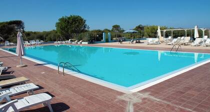 Happy Camp in Camping S'Ena Arrubia