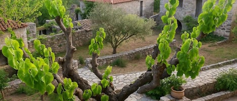 A stone pathway leading to rustic buildings with red-tiled roofs, surrounded by greenery and a mountainous backdrop.