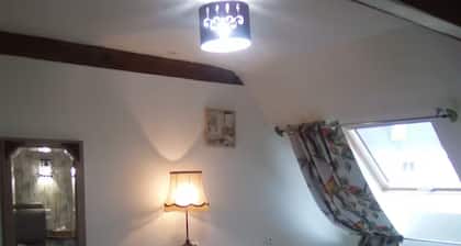 chambre dâhĂŽtes « BAMBOU »