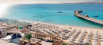 SRNTY Sahl Hasheesh