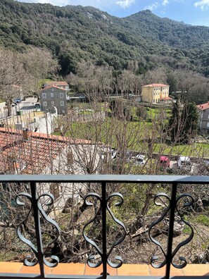 Property grounds - HOUSE NEAR PROPRIANO, SARTENE (Casalabriva)